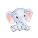 Daxiang Free VPN, 大象免费机场