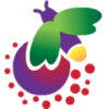 Firebug Free VPN